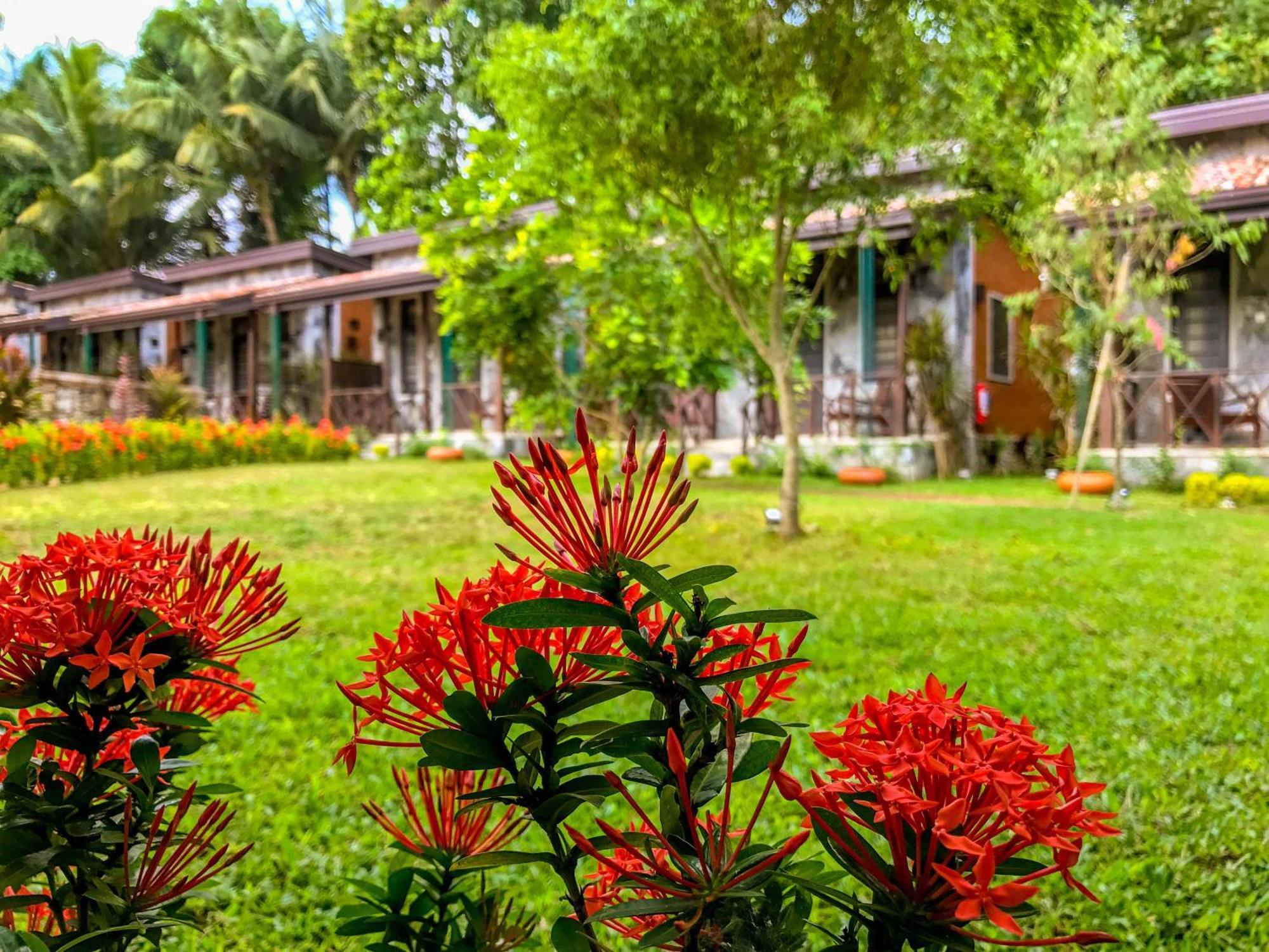 Villa Pinnawala Pinnawala  Exterior foto